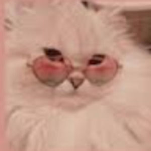 Meet your Posher, Sasha